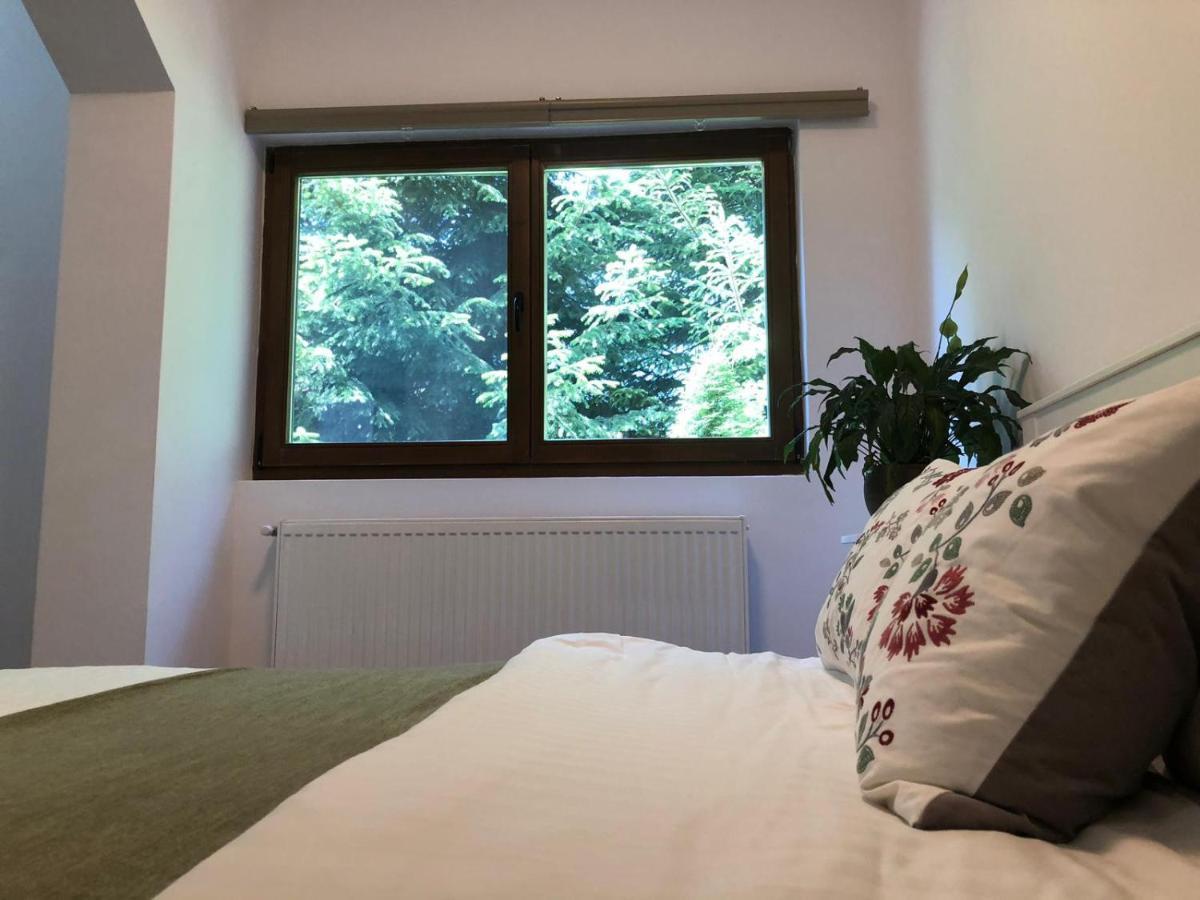 Forest Apartments By Olala Homes Синая Екстериор снимка